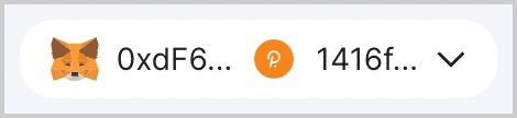 Polkadot.js wallet connected
